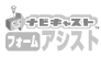 ナビキャスト フォームアシスト