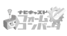 ナビキャスト フォームコンバータ