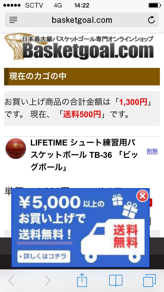 basketgoal