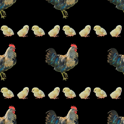 鳥