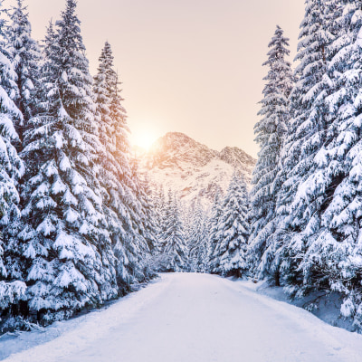 雪