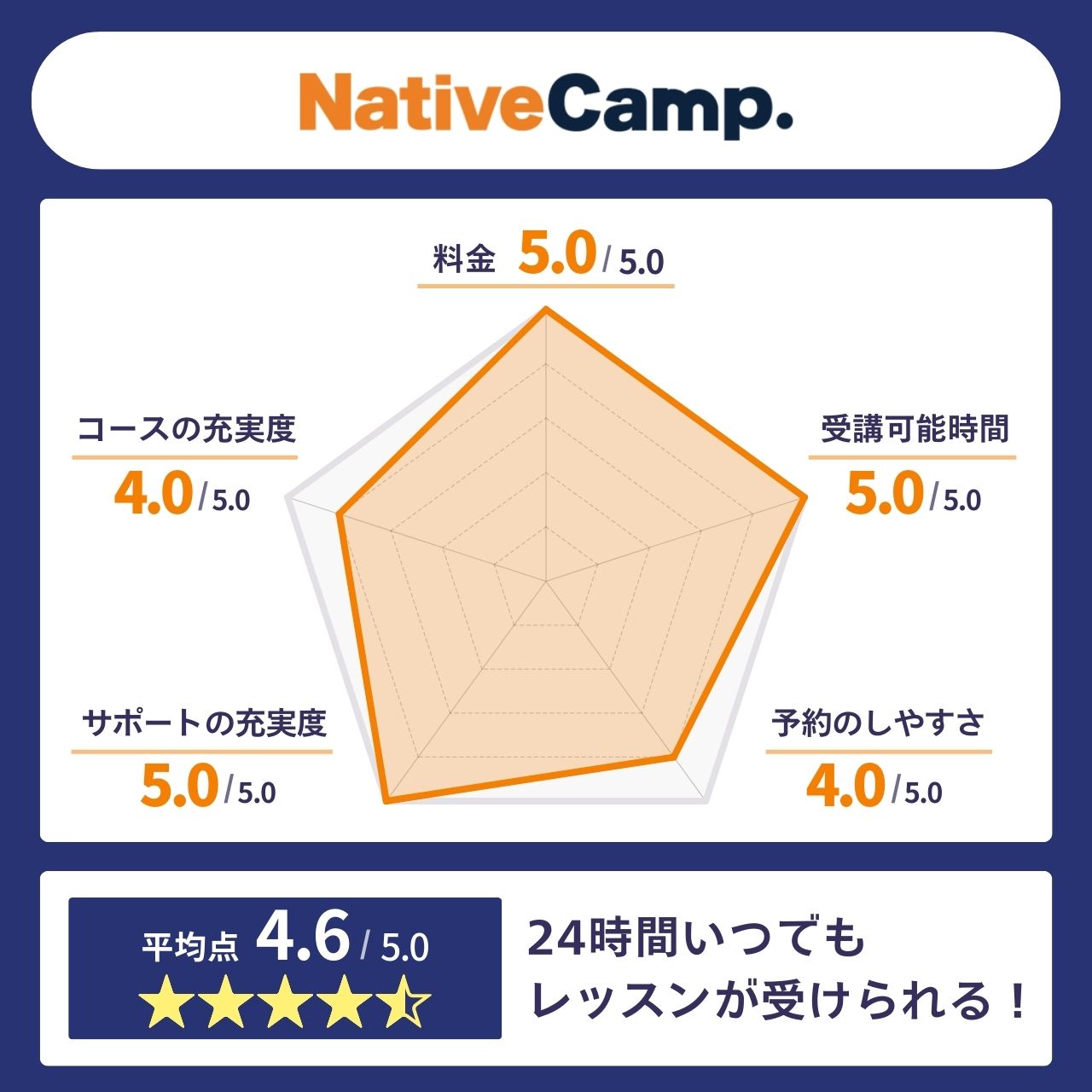 ネイティブキャンプレーダーチャート