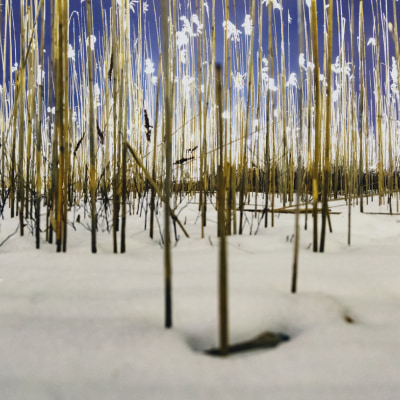 雪