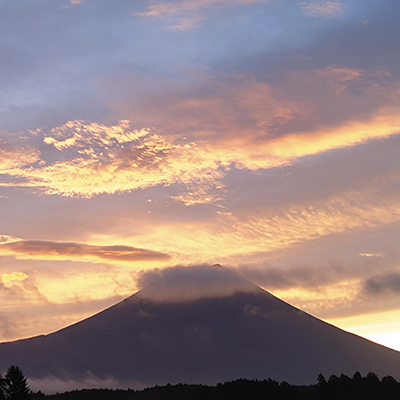 アンドロイド-icon