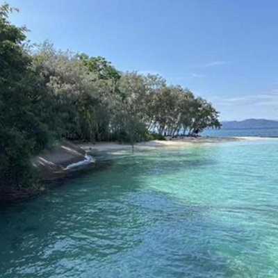 ピーチ沢田-icon