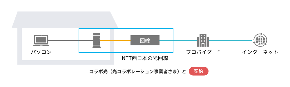 光コラボ