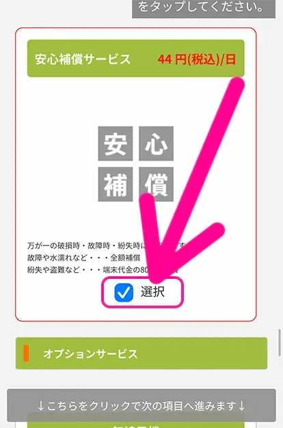 必要なオプションを選ぶ
