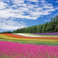 auひかりエリア口コミ4