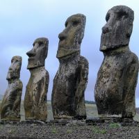 ドコモ光おすすめ口コミ4