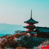 enひかり口コミ1