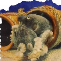 eo光おすすめ口コミ3