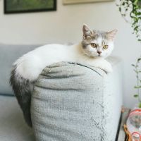 フレッツ光工事口コミ3