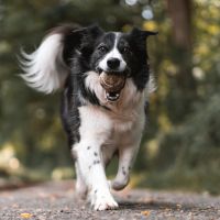 フレッツ光おすすめ口コミ1