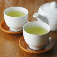 エキサイトMEC光月額料金口コミ1