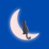 エキサイトMEC光プロバイダ口コミ4
