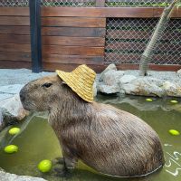 MEC戸建て口コミ1