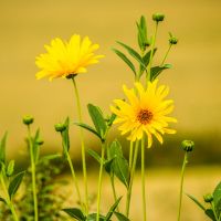 ビッグローブ光プロバイダ口コミ4