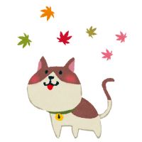 ビッグローブ光プロバイダ口コミ1