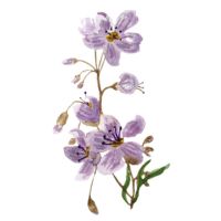 ビッグローブ光サポート口コミ3