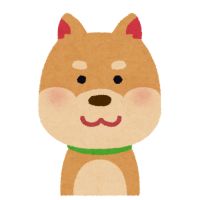 ビッグローブ光サポート口コミ1