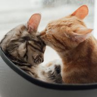 NURO光工事口コミ3