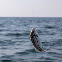 NURO光キャンペーン口コミ3