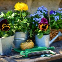 BBIQ光工事口コミ1