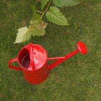 コミュファ光月額料金口コミ3