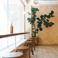 コミュファ光月額料金口コミ2