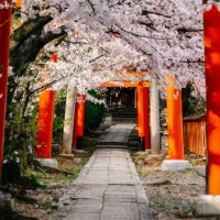 コミュファ光プロバイダ口コミ1