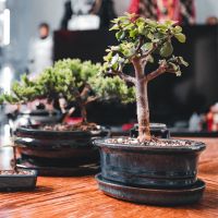 DTI光工事口コミ4