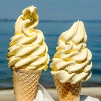 DTI光月額料金口コミ2