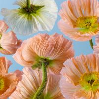 DTI光サポート口コミ4