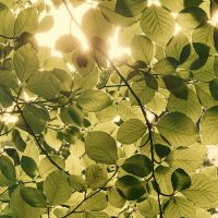 DTI光サポート口コミ3