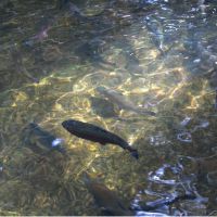 enひかり工事口コミ4