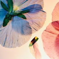 enひかりサポート口コミ4