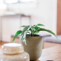 enひかりサポート口コミ2