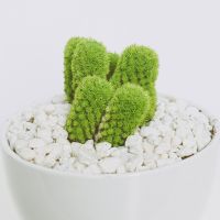 eo光工事口コミ2