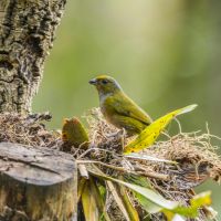 eo光キャンペーン口コミ4