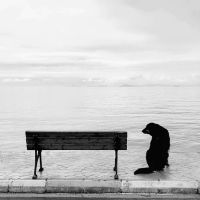 eo光プロバイダ口コミ3