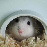 eo光サポート口コミ3