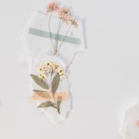 Fon光工事口コミ4