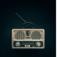 Fon光月額料金口コミ4