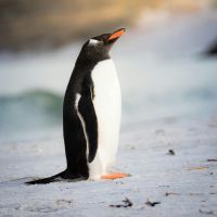 Fon光プロバイダ口コミ2