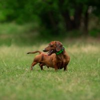 Fon光サポート口コミ1