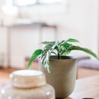 GameWith光キャンペーン口コミ3