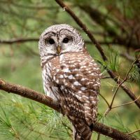 GameWith光プロバイダ口コミ2