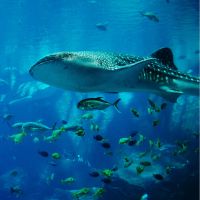 hiho光withGames工事口コミ2