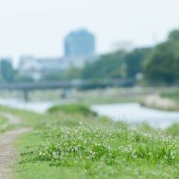 hiho光withGames月額料金口コミ4