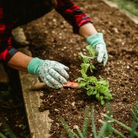 メガエッグ光工事口コミ4